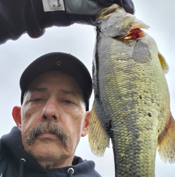 Meet your Posher, Bruce - Picture 1 of 1